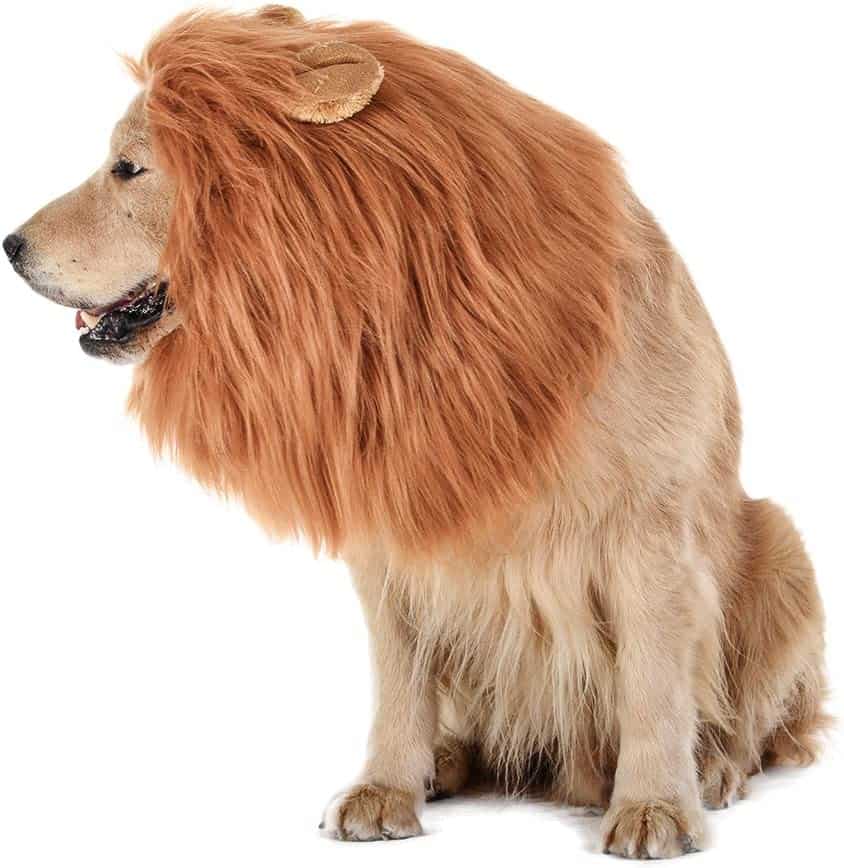 Lion Costume for pets