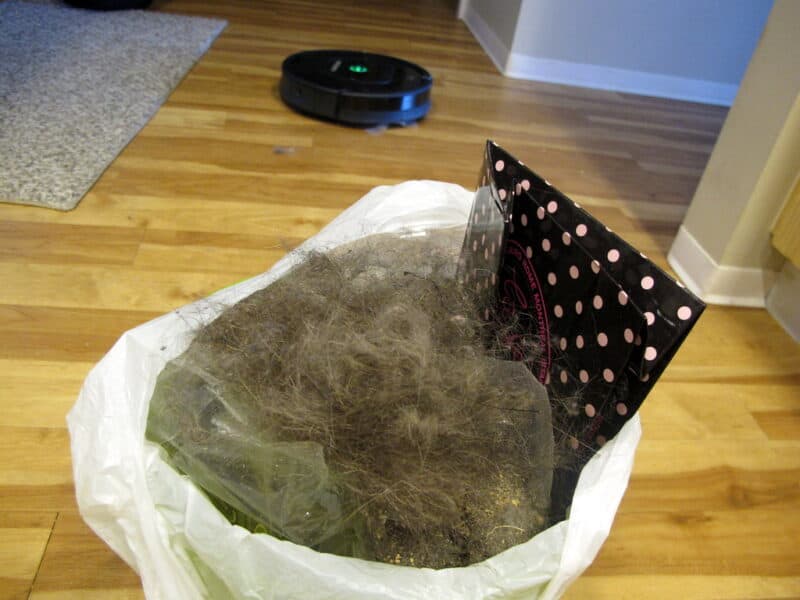 Are Roombas Worth It? 16 FAQ About Vacuum Cleaners (Answere)