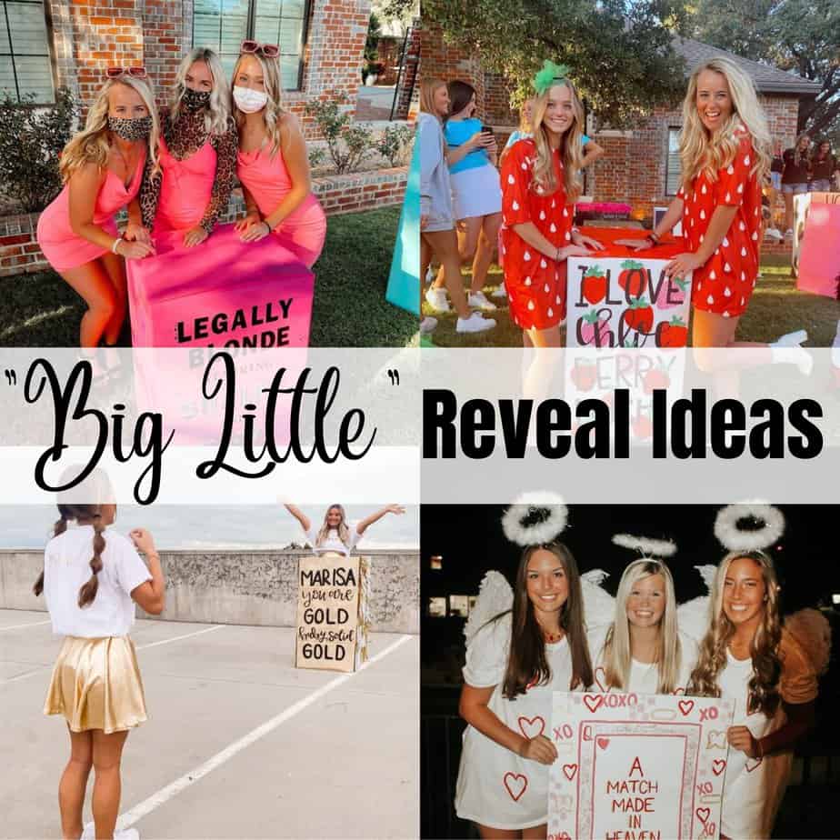 13 Genius Big Little Reveal Ideas for 2024