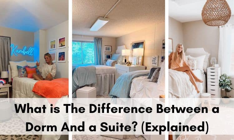 What is The Difference Between a Dorm And a Suite? (Explained)