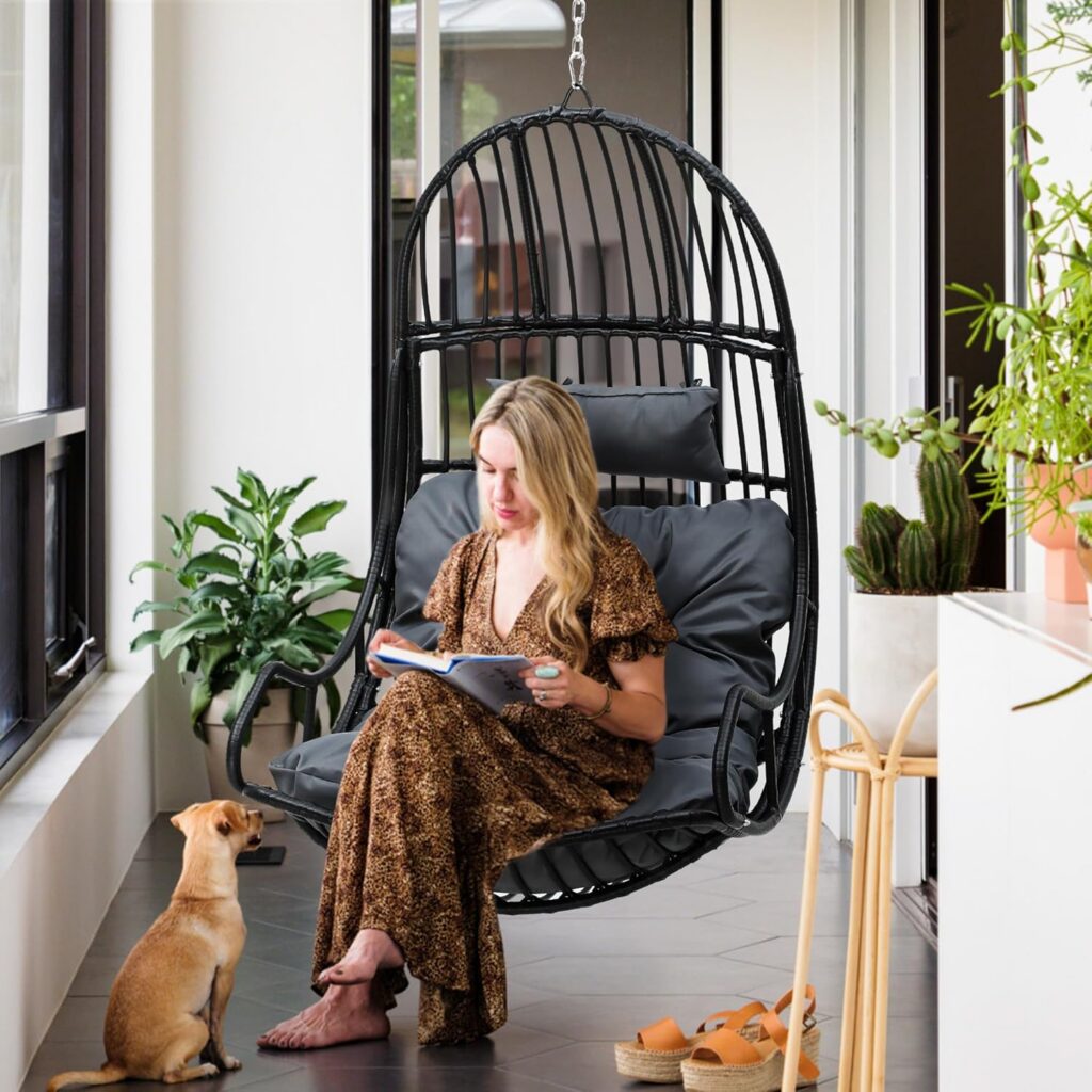 Hanging Egg Chair Swing
