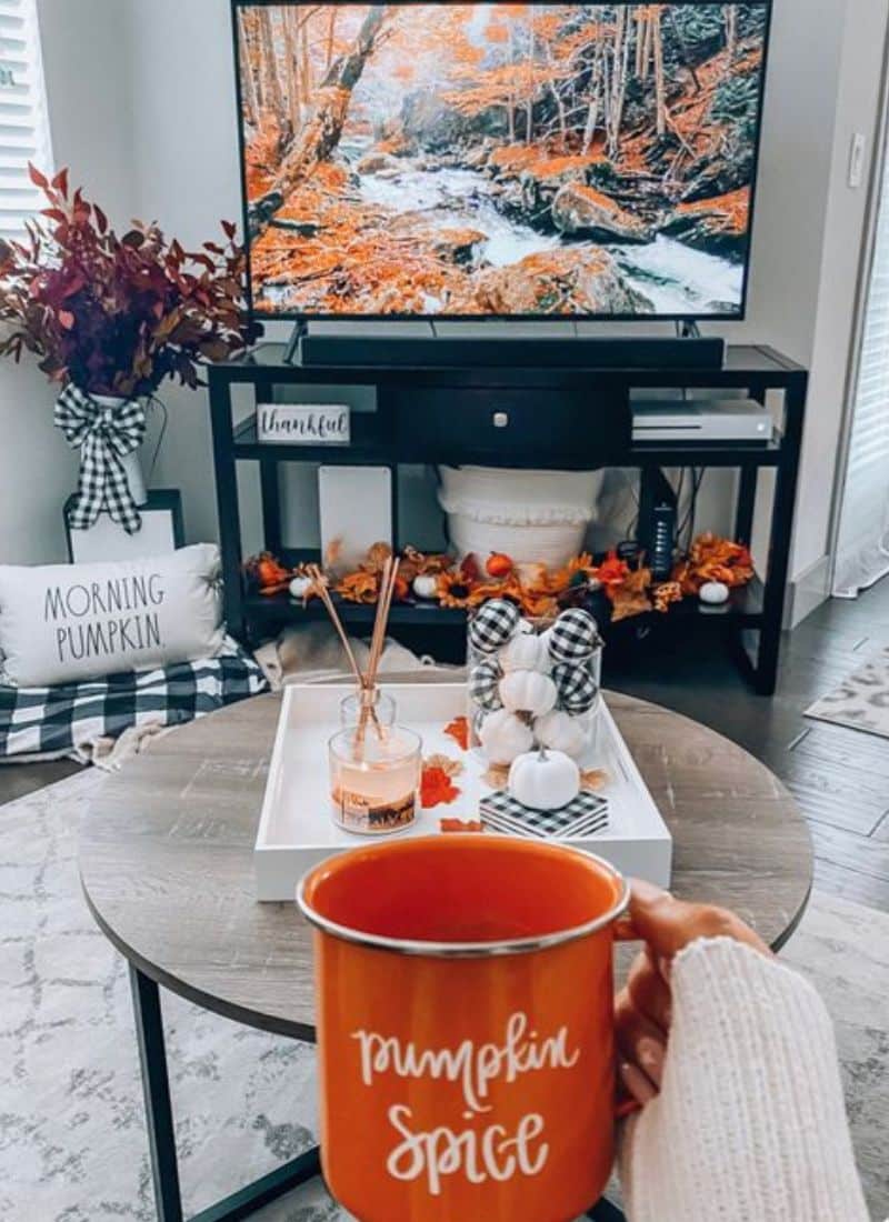 34 Fall Decor Ideas You Will Absolutely Love: Spice Up Your Space with Seasonal Sass!