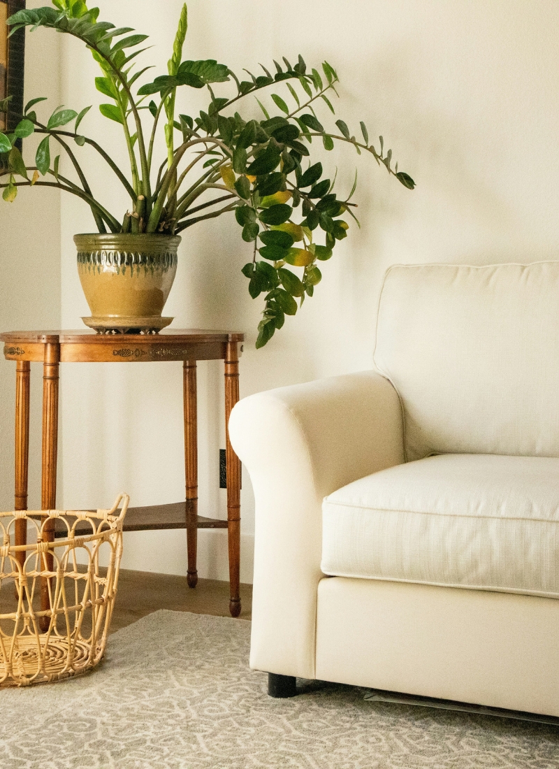 Is Crate and Barrel High-End Brand Explained