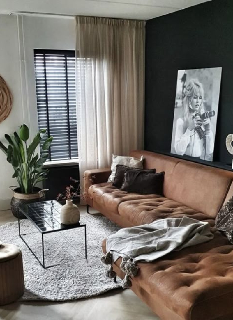 What Color Curtains Go with Brown Furniture? Easy Styling Tips
