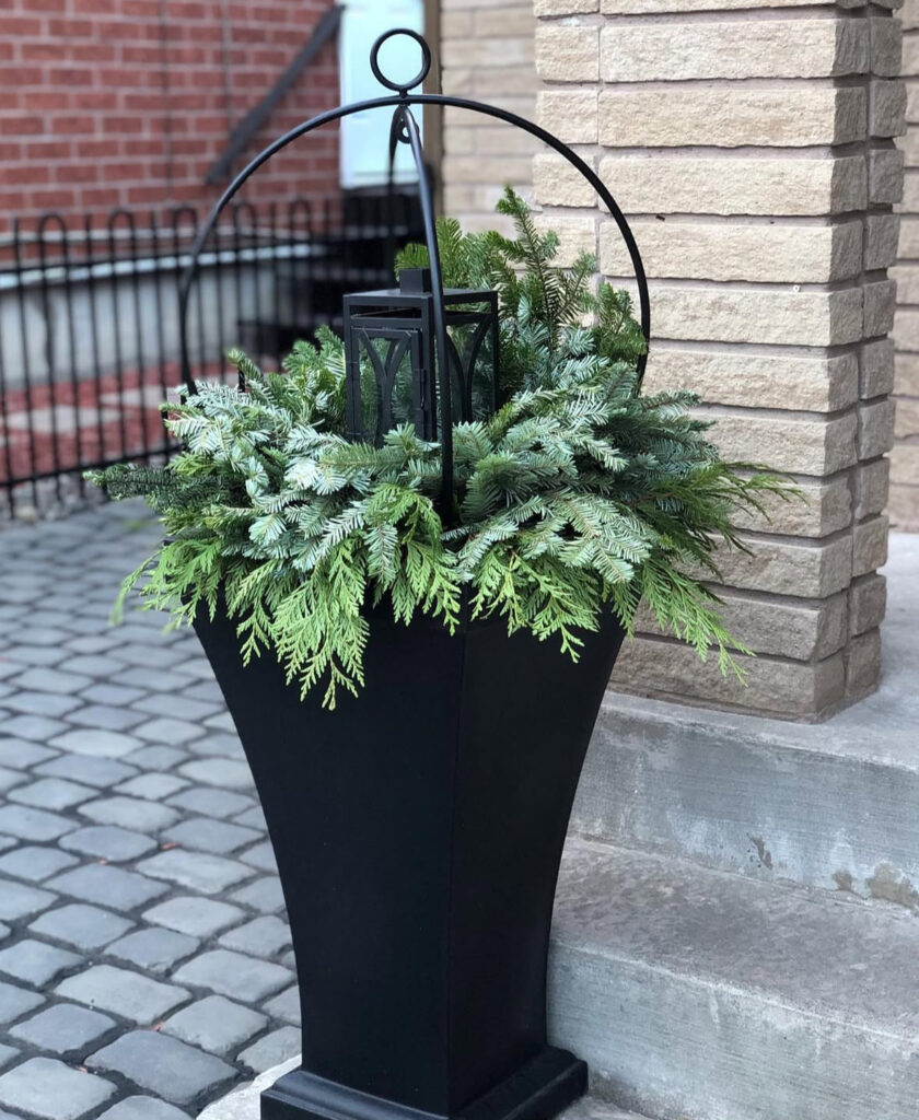 Matte planter with sweeping cedar and a central lantern—minimal Christmas outdoor planter ideas that glow after dusk.