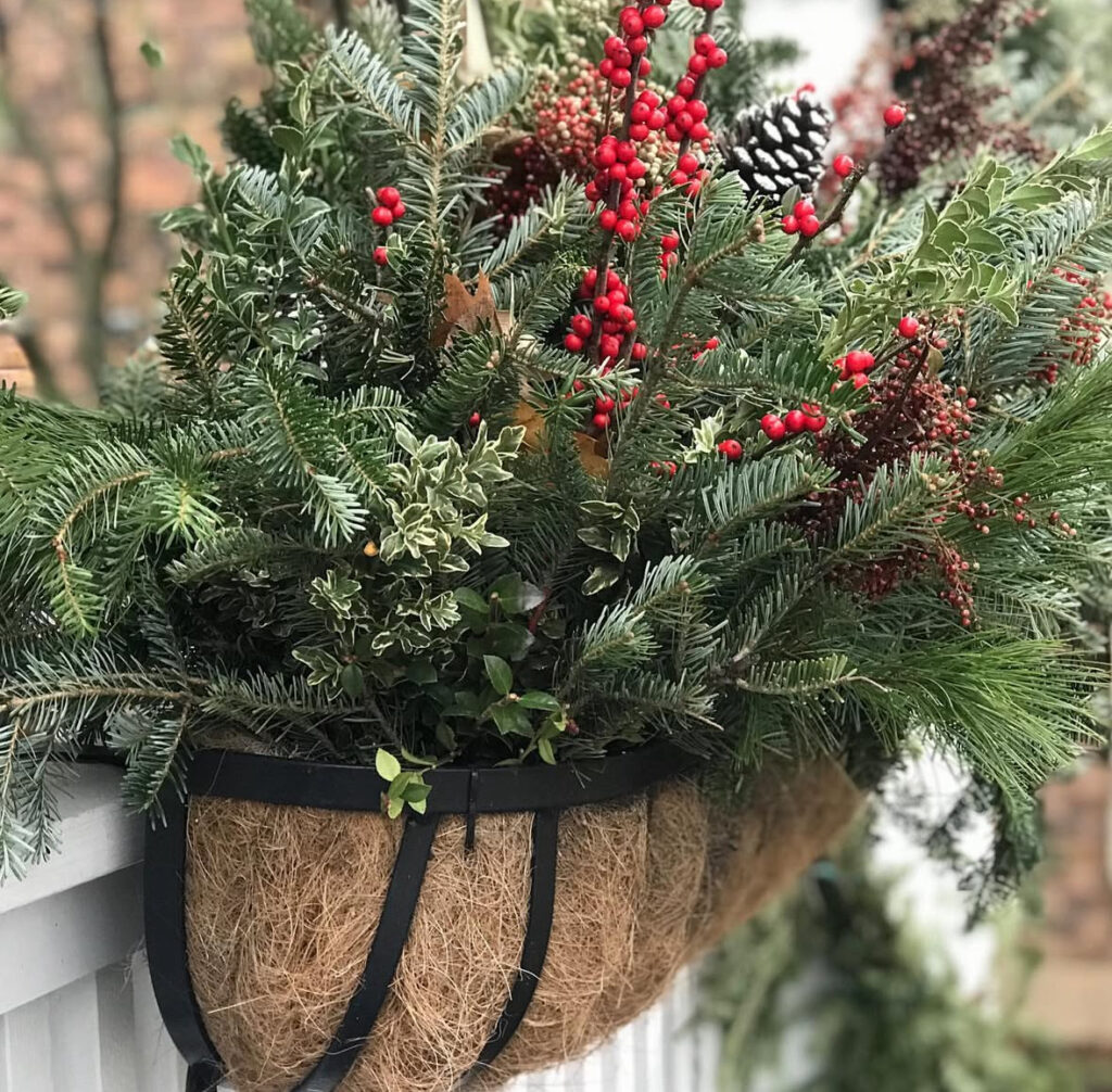 Overflowing cedar, spruce, and holly in a rustic box—copy-ready Christmas window planter ideas for cozy curb appeal.