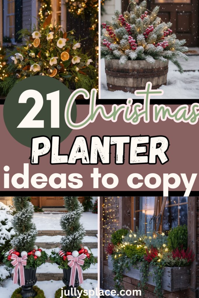 Christmas planter ideas