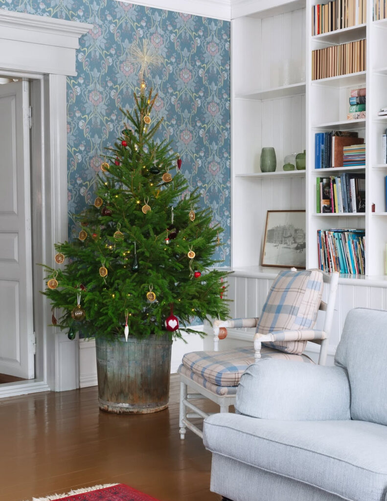 rustic Scandinavian Christmas decor with spruce in a zinc tub