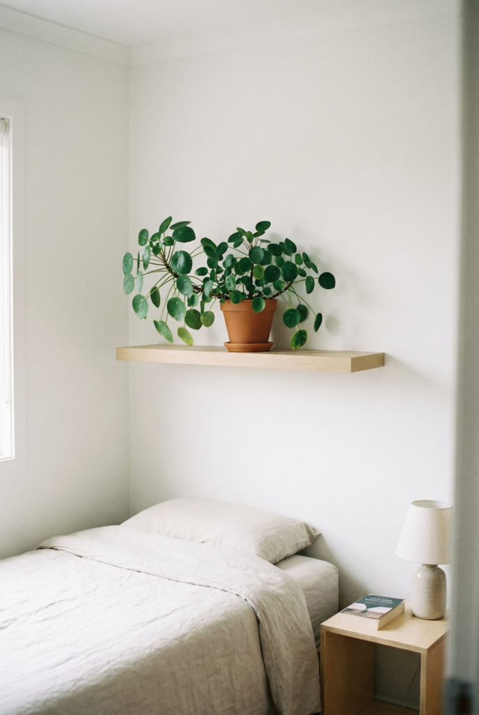 Tiny white bedroom with single bed, floating shelf and large leafy plant at eye level, airy small bedroom decor idea.