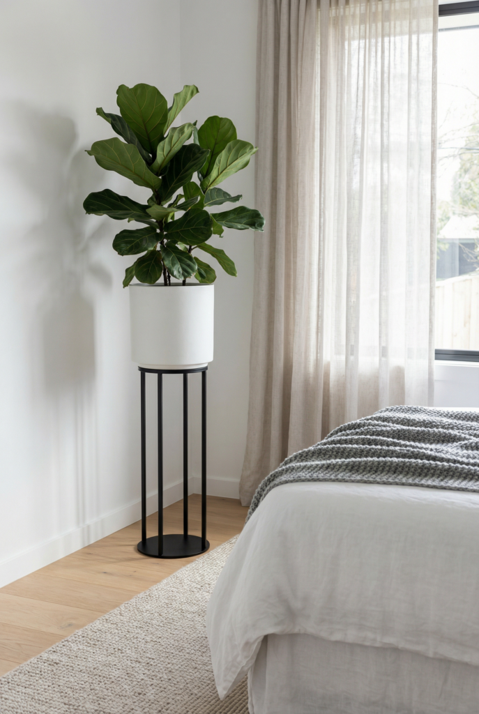 Minimalist bedroom decor with black and white furniture, showing a fiddle leaf fig in a white pot on a black stand beside linen curtains and white bedding.