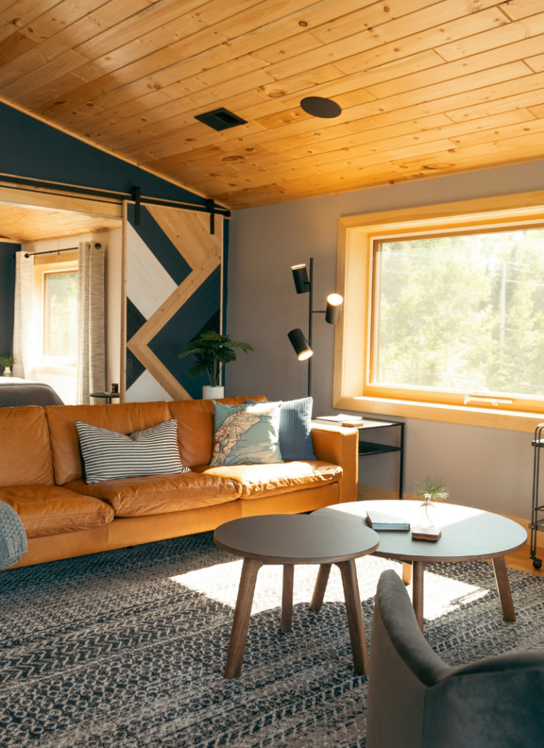 What a $100 Budget Actually Does to a Living Room - Honest Breakdown