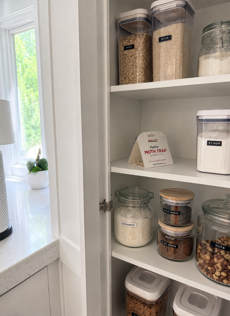 How to Get Rid of Pantry Moths (For Real, Not Just for a Week)
